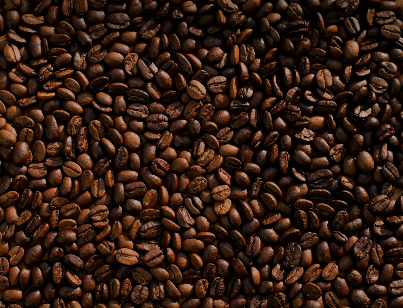 A close-up of freshly roasted coffee beans
